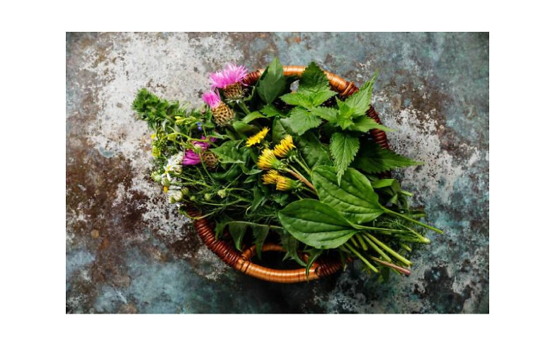 Wildkr&auml;uter&ouml;l herstellen/ Make homemade wild herb oil Tickets