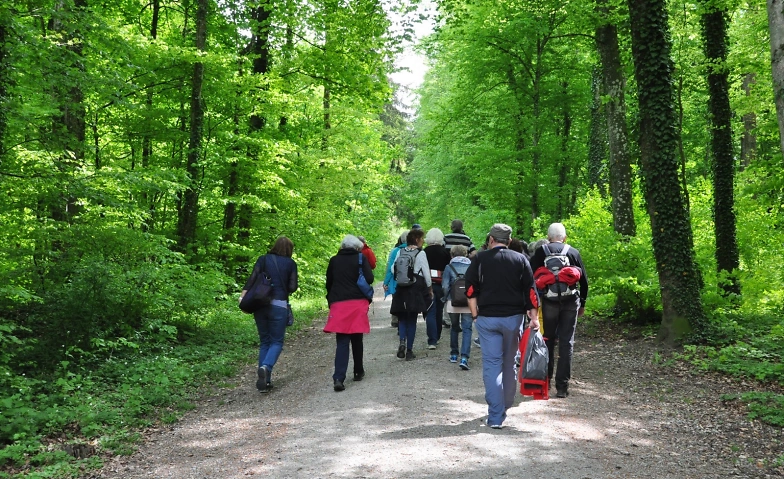 Zäme go Laufe 60+  Städtli-Rundgang Bahnhof Bülach beim Brezelkönig 8180 Bülach, Bahnhofring, 8180 Bülach Tickets
